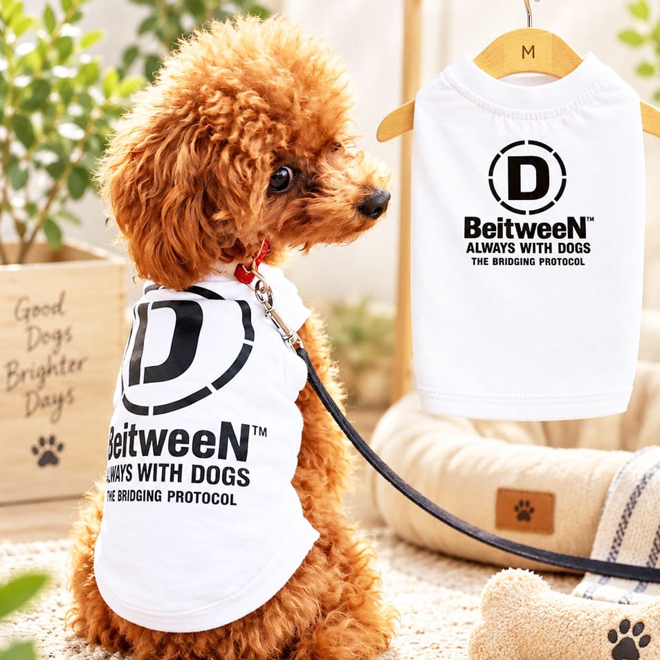 BeitweeN®︎ DOG WEAR